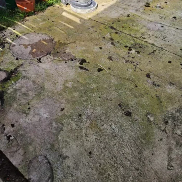 Terassenreinigung Vorher